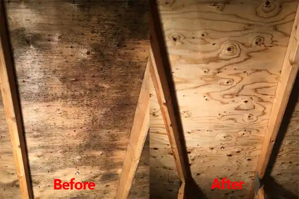 water damage restoration service Morrow